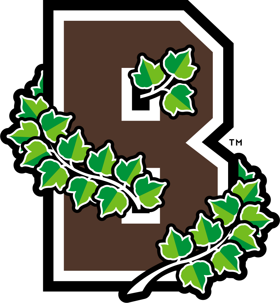 Brown Bears 2013-2018 Secondary Logo iron on transfers for T-shirts